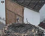 Capi_Dubne_20250303_170004.jpg