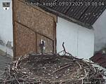 Capi_Dubne_20250303_180004.jpg