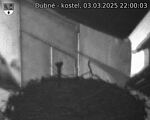 Capi_Dubne_20250303_220003.jpg