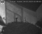 Capi_Dubne_20250304_020003.jpg