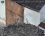 Capi_Dubne_20250304_090004.jpg