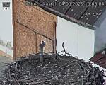 Capi_Dubne_20250304_100004.jpg
