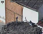 Capi_Dubne_20250304_110004.jpg