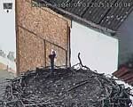 Capi_Dubne_20250304_120004.jpg