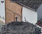 Capi_Dubne_20250304_130004.jpg