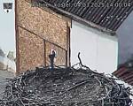 Capi_Dubne_20250304_140004.jpg