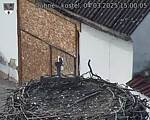 Capi_Dubne_20250304_150005.jpg