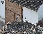 Capi_Dubne_20250304_170004.jpg
