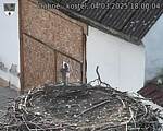 Capi_Dubne_20250304_180004.jpg