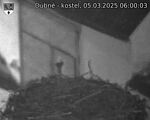 Capi_Dubne_20250305_060003.jpg