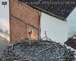 Capi_Dubne_20250305_070005.jpg
