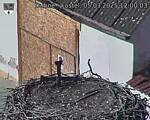 Capi_Dubne_20250305_120003.jpg