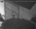 Capi_Dubne_20250305_200003.jpg
