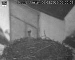 Capi_Dubne_20250306_060002.jpg