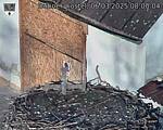 Capi_Dubne_20250306_080004.jpg
