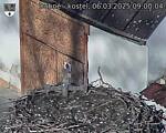 Capi_Dubne_20250306_090004.jpg