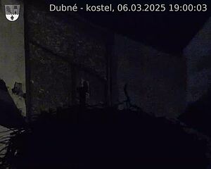 Capi_Dubne_20250306_190003.jpg (1350 x 1080)