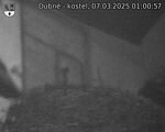 Capi_Dubne_20250307_010057.jpg