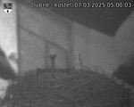 Capi_Dubne_20250307_050003.jpg