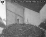 Capi_Dubne_20250307_060004.jpg