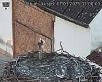 Capi_Dubne_20250307_070003.jpg