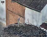 Capi_Dubne_20250307_080003.jpg