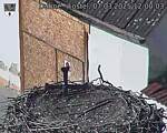 Capi_Dubne_20250307_120003.jpg