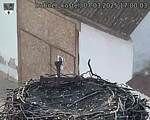 Capi_Dubne_20250307_170003.jpg