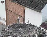 Capi_Dubne_20250307_180005.jpg