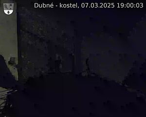 Capi_Dubne_20250307_190003.jpg (1350 x 1080)