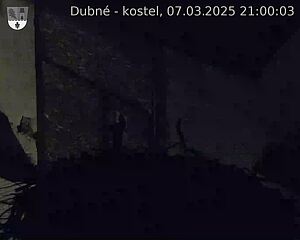 Capi_Dubne_20250307_210003.jpg (1350 x 1080)