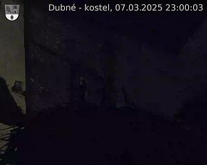 Capi_Dubne_20250307_230003.jpg (1350 x 1080)