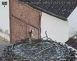 Capi_Dubne_20250308_070003.jpg