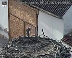 Capi_Dubne_20250308_160003.jpg