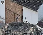 Capi_Dubne_20250308_170004.jpg