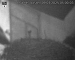 Capi_Dubne_20250309_050003.jpg