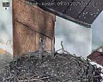 Capi_Dubne_20250309_090005.jpg