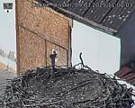 Capi_Dubne_20250309_110003.jpg