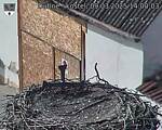 Capi_Dubne_20250309_140003.jpg