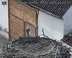 Capi_Dubne_20250309_160003.jpg