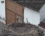 Capi_Dubne_20250309_180003.jpg