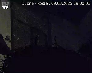 Capi_Dubne_20250309_190003.jpg (1350 x 1080)