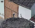 Capi_Dubne_20250310_110004.jpg