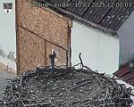 Capi_Dubne_20250310_120003.jpg