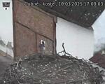 Capi_Dubne_20250310_170003.jpg