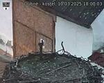 Capi_Dubne_20250310_180003.jpg