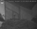 Capi_Dubne_20250311_000003.jpg