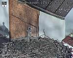 Capi_Dubne_20250311_090004.jpg