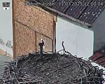 Capi_Dubne_20250311_120004.jpg
