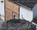 Capi_Dubne_20250311_140003.jpg
